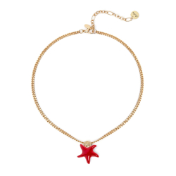 SODINI Partenope starfish...