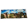 FUMAGALLI 1891 scarf HISTORICAL COLLECTION LIMITED EDITION 70X200 cm MADE IN ITALY