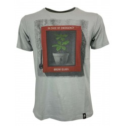 DIRTY VELVET T-shirt uomo grigio mod BREAKING POINT DV76927 100% organic cotton